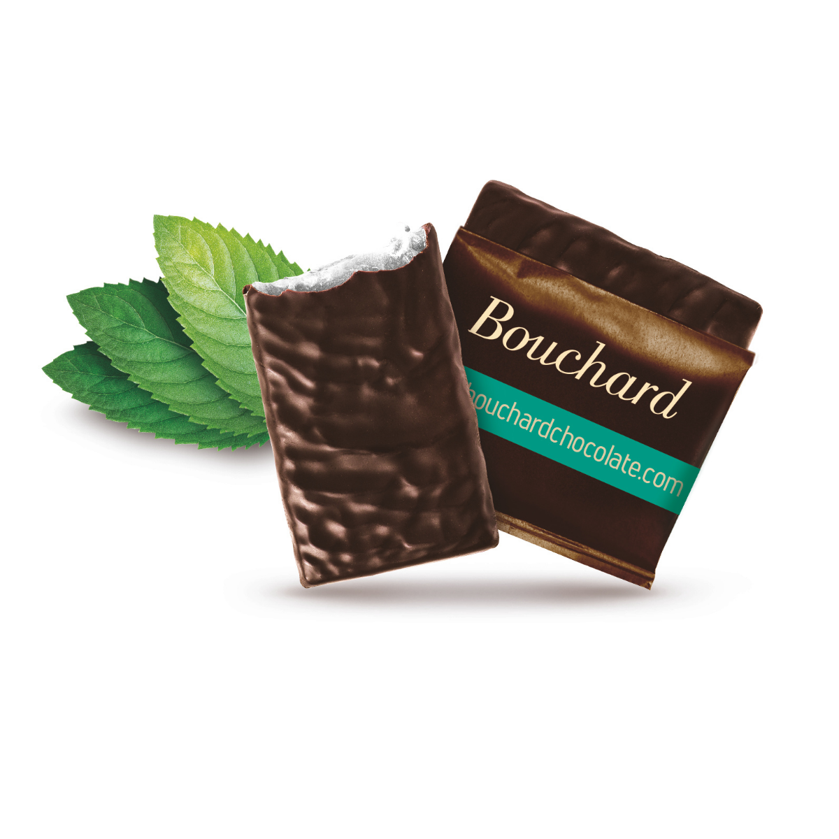 Bouchard Chocolate Back to School Bundle