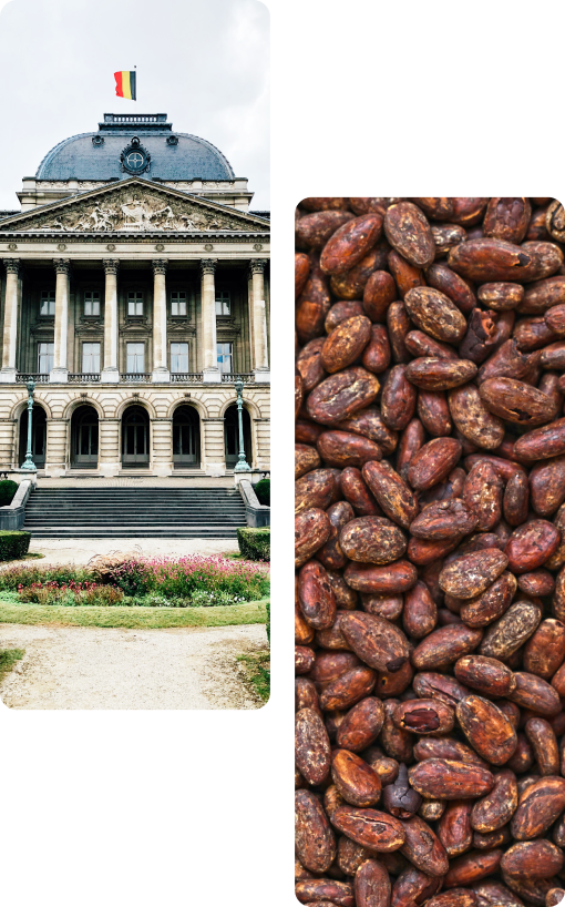 Save Five Trial Bags Bouchard The Dark Chocolate Experts